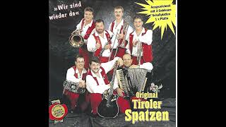 Orig Tiroler Spatzen  10 Platonische Liebe [upl. by Nirro]