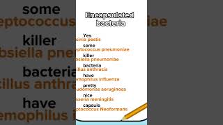 list of Encapsulated bacteria mnemonic [upl. by Shantha]