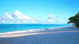 🏝 Scenic Beach View Island Relaxation From Maldives [upl. by Sandeep]