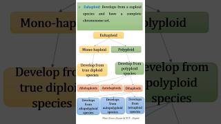 Haploid and Aneuploidy [upl. by Spatz786]