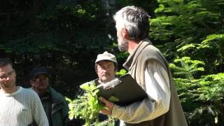 Réviser le Brevet Grand Gibier 2011 dans le Gard et en Lozère [upl. by Enerod]