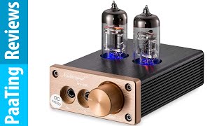 Nobsound NS08E Vacuum Tube Headphone Amplifier ✅ Review [upl. by Eidak785]