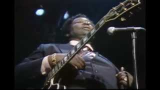 BB King  Live in Dallas 1983  Full Concert [upl. by Feldstein]