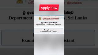 Department Of Examination  Data Entry Job Vacancy jobvacency governmentjobs [upl. by Ydur]