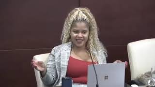 Video 29 Lyndon Lewis St Maarten Parliament Sint Maarten Government JudithRoumouStMaartenNews [upl. by Ermin]