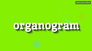 ORGANOGRAM  HOW TO PRONOUNCE IT [upl. by Meggs]