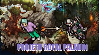 Tibia  Projeto RP do Zero 12  Ruínas de Krailos e Acessos Importantes [upl. by Akfir]