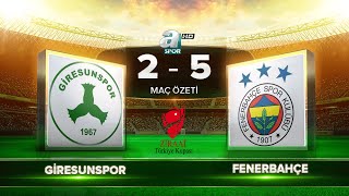 Giresunspor 25 Fenerbahçe  Maç Özeti [upl. by Nylknarf]