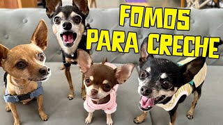 FOMOS PARA UMA CRECHE DE CÃƒES E RECEBEMOS BOLETIM DE COMPORTAMENTO [upl. by Hsur762]