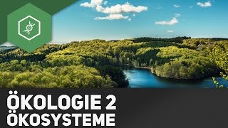 Ökosysteme  Ökologie 2 [upl. by Halverson]