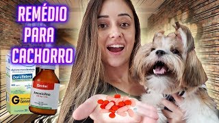 COMO DAR COMPRIMIDO PARA CACHORRO FÁCIL CASTRAÇÃO01 [upl. by Jenei609]