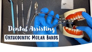 Dental Assisting Removing Orthodontic Molar Bands [upl. by Nylynnej404]