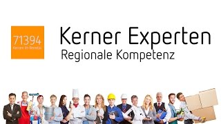 Kerner Experten Podcast YouTube [upl. by Cordelia]