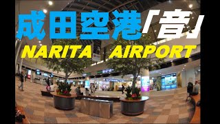 【環境音】成田空港チャイム「音」、ヘッドホンでお聞きください！（国際線出発アナウンス きれいな中国語普通話北京語・英語・日本語 勉強BGMにどうぞ！） [upl. by Erdnaet812]