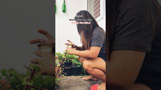 Day 230 What I eat in a day  Weight loss series  minivlog short ytshorts dailyvlog [upl. by Anileda]