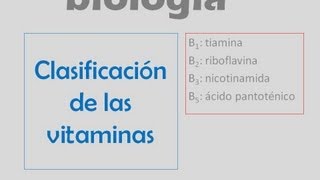 Clasificación de las vitaminas [upl. by Acnaiv73]