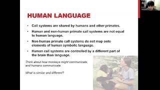 Lecture 11 Linguistic Anthropology Chapter 9 p1 [upl. by Hasty]