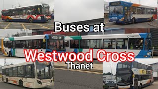 Buses at Westwood Cross Thanet 2022 [upl. by Marylee]