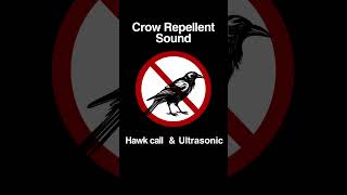 Crow Repellent Sound Hawk Call and 20KHz Ultrasonic Sound Shorts [upl. by Amelita]