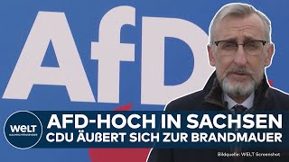 SACHSEN AfD in WahlUmfrage bei 37 Prozent Quo vadis CDU Partei äußert sich zur Brandmauer [upl. by Bokaj726]