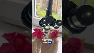 VRAIE FLEUR VS FAUSSE FLEUR 🌷 science microscope zoom fleurs nature shorts [upl. by Ettesil]