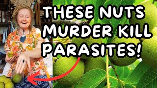 ✨Easy Black Walnut Tincture Recipe ✨ Kill Parasites 🪱 Fungus 🍄‍🟫 Yeast 🤢 amp More [upl. by Pasahow]