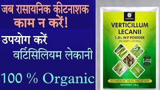 best 100 organic insecticide । verticillium lecanii। biological insecticide । organicinsecticide [upl. by Aelgna]