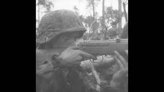 Gewehr 43 in action on the Eastern Front in 1944 [upl. by Trant352]