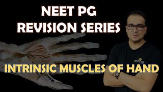 NEET PG INTRINSIC MUSCLES OF HAND [upl. by Carothers]