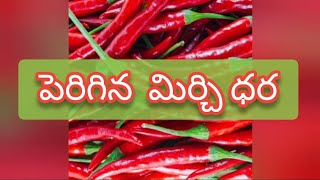 Guntur mirchi market rate today  05092024 [upl. by Ayrb]