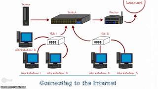 Network Hardware in Action [upl. by Pohsib743]