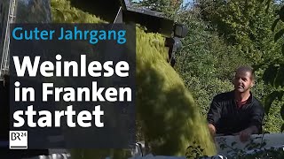 Offizieller Start der Weinlese in Franken Aussichten und Sorgen  BR24 [upl. by Rasure272]