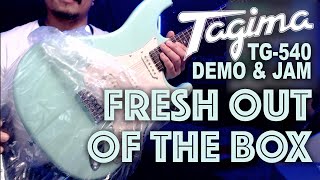 Fresh out of the Box Tagima TG540 Guitar Unboxing Demo and Jam [upl. by Newcomer]