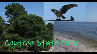 A Brief Visit To Captree State Park [upl. by Irolav]