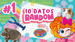 10 datos RANDOM que hace 5 MINUTOS no sabías  Distroller [upl. by Dragon925]