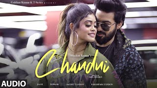 CHANDNI Audio Sachet Tandon Parampara Tandon  B Praak Jaani  Bhushan K [upl. by Eiramannod]