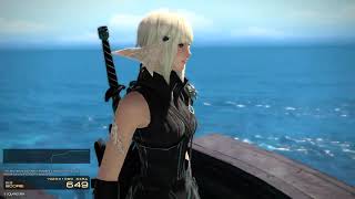 FF14 黄金のレガシー ベンチマークV11 アウラ [upl. by Aiykan]