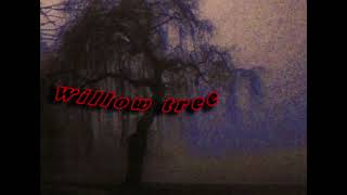 Willow Tree original song written by me [upl. by Anerhs52]