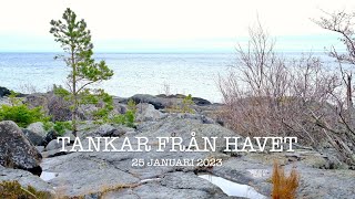 Tankar från havet 25 januari 2023 [upl. by Erastatus721]