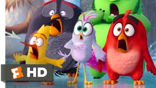 The Angry Birds Movie  Official Teaser Trailer HD [upl. by Esiole72]