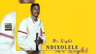 Mr Right  Ndixolele Official Audio [upl. by Tenneb986]