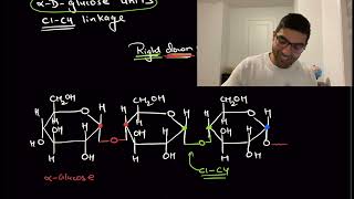 Polysaccharide  Difference between Amylose and Amylopectin  Biomolecules Lec 10 by TUC Nikhil [upl. by Godden]