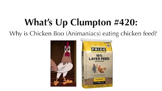 What’s Up Clumpton 420 Why is Chicken Boo Animaniacs eating chicken feed [upl. by Kneeland]