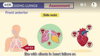 Lung Auscultation Location  Assessment  NURSE amp নার্স [upl. by Ardnuasal227]