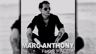 Marc Anthony  Flor Pálida Official Audio [upl. by Yssis]