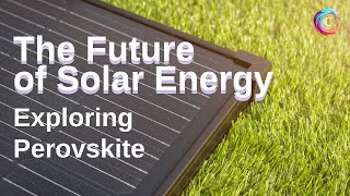 The Future of Solar Energy｜Exploring Perovskite Solar Cells｜Longi Green Energy｜Silicon Solar Cells [upl. by Vel]