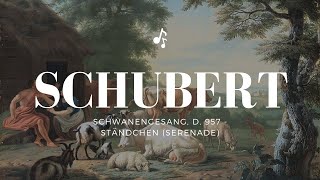 一小時版本）舒伯特  小夜曲  Schubert Schwanengesang D 957  Ständchen Serenade [upl. by Arianie]