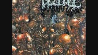 Disgorge Mex  grotesque devourment [upl. by Irra]