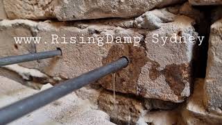 Rising Damp Proofing Sydney [upl. by Tolliver]