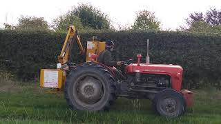 Massey Ferguson 35 MF with McCONNEL PA90 hedge cutter flail cutting UK [upl. by Duntson467]